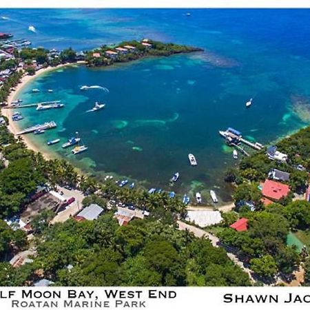 Hotel Chillies And Native Sons Diving West End Luaran gambar