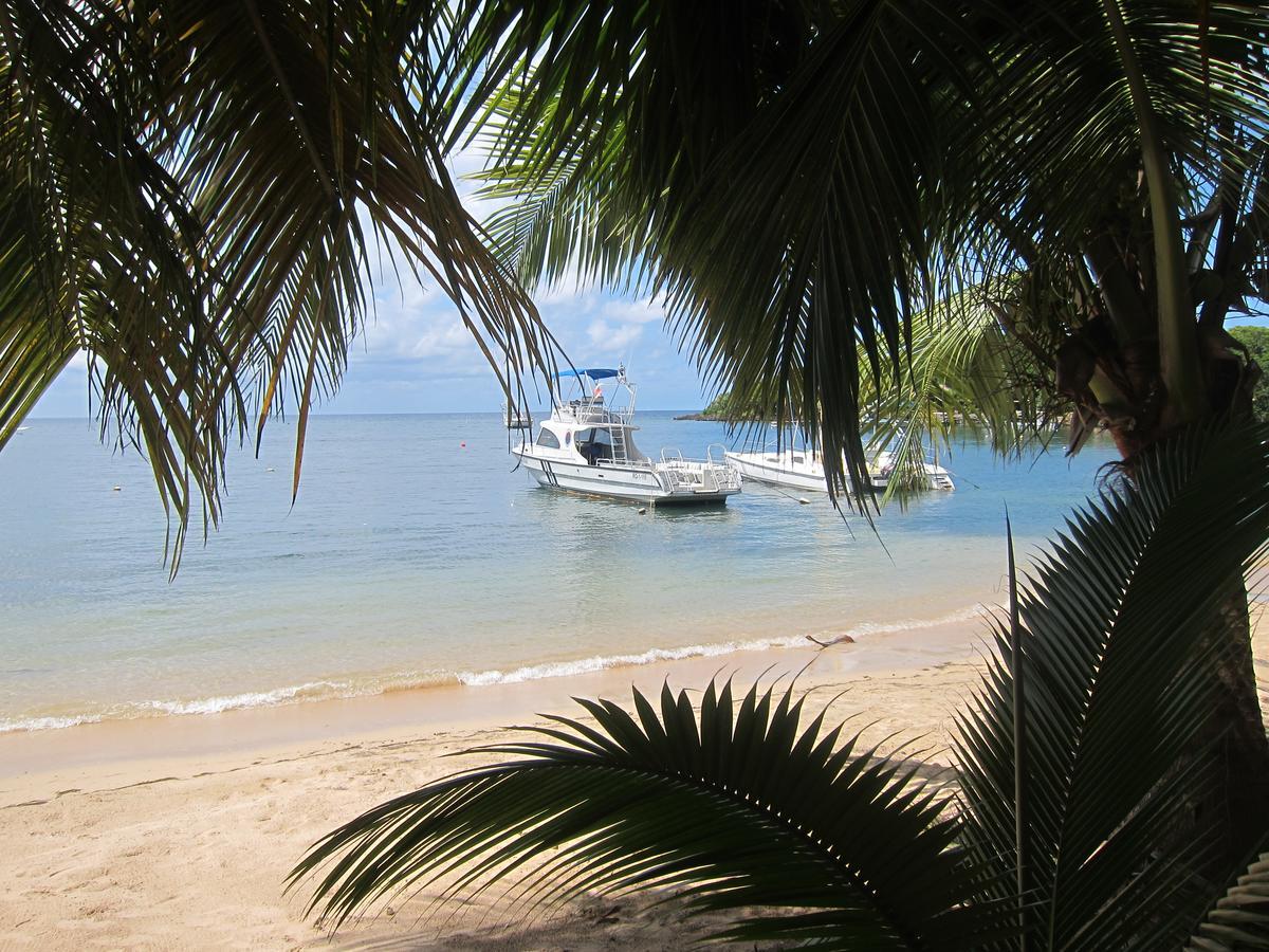 Hotel Chillies And Native Sons Diving West End Luaran gambar