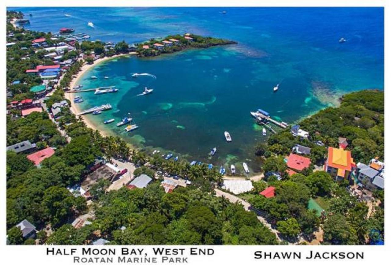Hotel Chillies And Native Sons Diving West End Luaran gambar